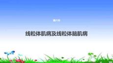 线粒体肌病及线粒体脑肌病PPT培训课件