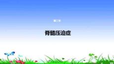 脊髓压迫症专题知识讲座PPT培训课件