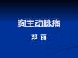 胸主动脉瘤【13页】_20221671
