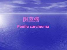 源阴茎癌主题讲座PPT培训课件