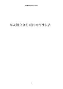 2024年錫及錫合金材項目可行性報告