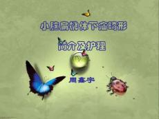 小脑扁桃体下疝畸形培训课件