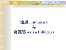 流感Influenza和禽流感AvianInfluenzaPPT培训课件