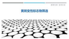 黄斑变性标志物筛选
