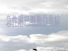 急性淋巴细胞白血病培训课件