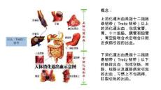 上消化道出血及下消化道出血的区别培训课件