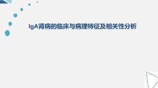 开题报告IgA肾病