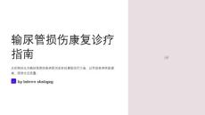 输尿管损伤康复诊疗指南