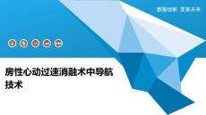 房性心动过速消融术中导航技术