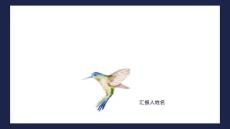 破伤风相关材料