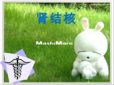 《肾结核》ppt课件【27页】