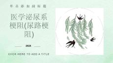 医学：泌尿系梗阻(尿路梗阻)