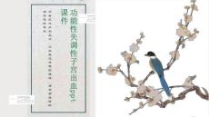 功能性失调性子宫出血课件