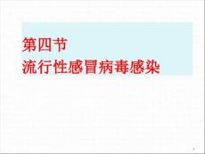 传染病学流感流感ppt课件