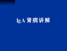 IgA肾病讲解【17页】