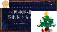 坐骨神经-腓肠肌标本制备