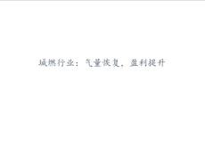 2023年城燃行業(yè)分析報告：氣量恢復(fù)，盈利提升