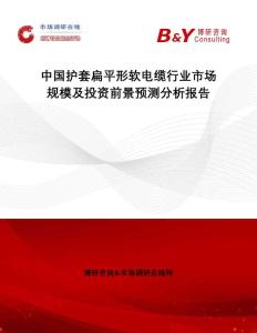 中国护套扁平形软电缆行业市场规模及投资前景预测分析报告