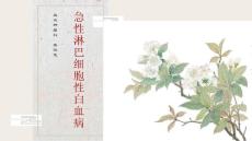 急性淋巴细胞性白血病删减版