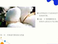 纤维素纤维结构与性能