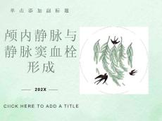 颅内静脉与静脉窦血栓形成