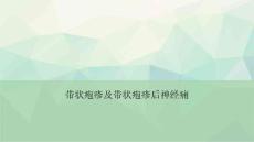 带状疱疹及带状疱疹后神经痛