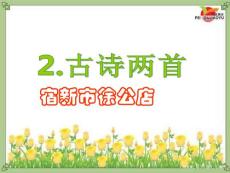 2.古詩兩首 宿新市徐公店公開課獲獎?wù)n件示范課優(yōu)質(zhì)課賽課一等獎?wù)n件