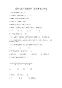北師大版六年級數(shù)學(xué)下冊期末模擬試卷帶答案(培優(yōu))