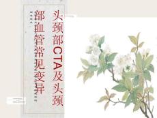 头颈部CTA及头颈部血管常见变异