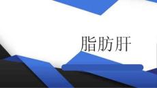 脂肪肝