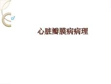 心脏瓣膜病病理