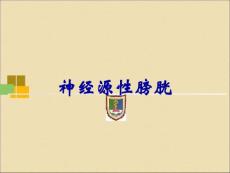 神经源性膀胱