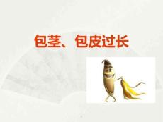 包茎包皮过长ppt课件