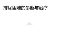 排尿困难的诊断与治疗