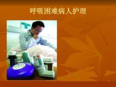 喘息护理ppt课件