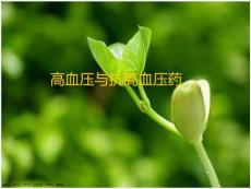 高血压与抗高血压药_4