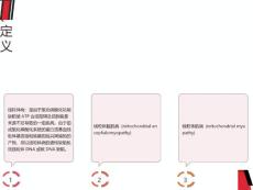 线粒体脑肌病介绍