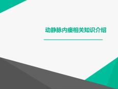 动静脉内瘘