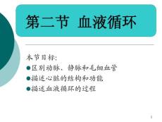 血液循環(huán)課件