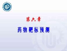 藥物設(shè)計(jì)學(xué)--第6章