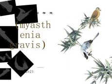 重症肌无力myastheniagrav