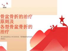 骨盆骨折的治疗原则及各型骨盆骨折的治疗