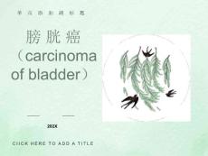 膀胱癌影像表现