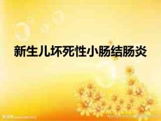 新生儿坏死性小肠结肠炎讲义-PPT