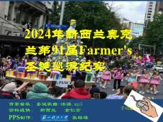 2024年新西蘭圣誕大游行