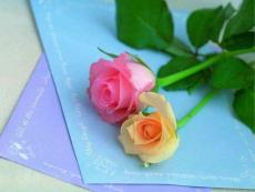 公開課：聯(lián)想和想象