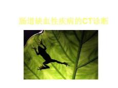 肠道缺血性疾病的CT诊断