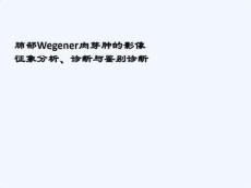 肺韦格氏肉芽肿CT诊断