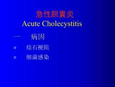 《急性胆囊炎》课件