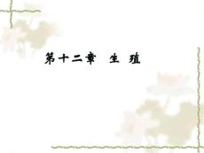 《生殖》課件